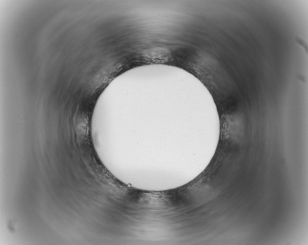 X0000100910713200807011244