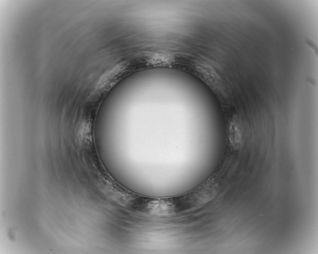 X0000100910714200807011244