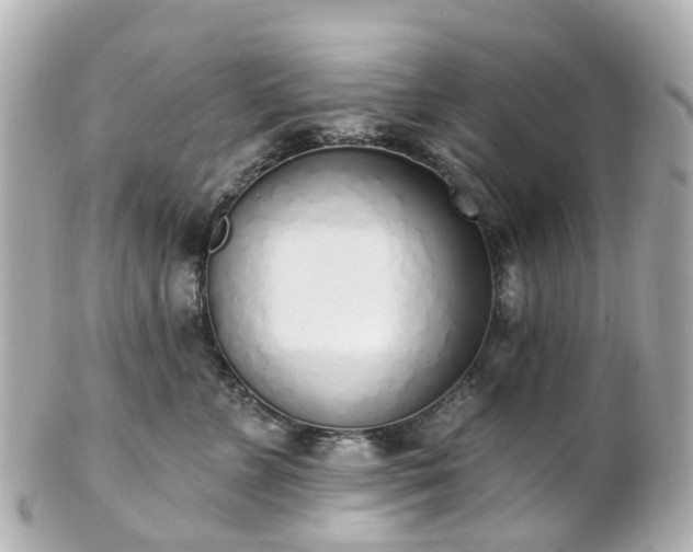X0000100910715200807011243