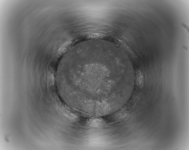 X0000100910716200807011243