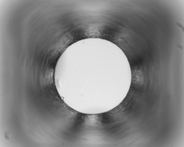 X0000100910717200807011243