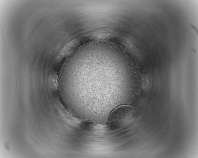 X0000100910718200807011243