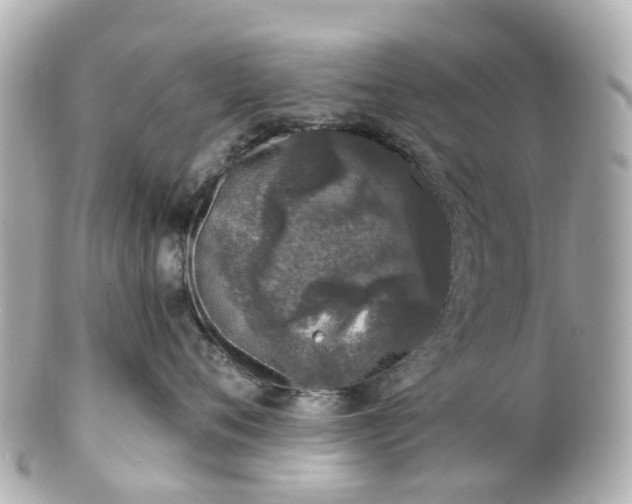 X0000100910720200807011243