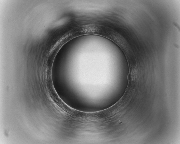 X0000100910722200807011243