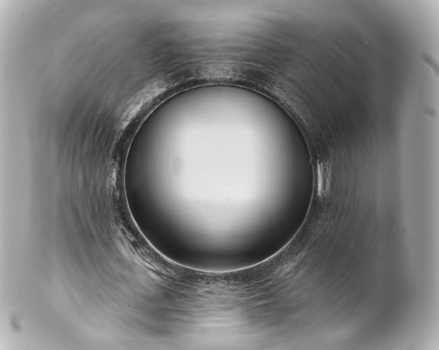 X0000100910723200807011243