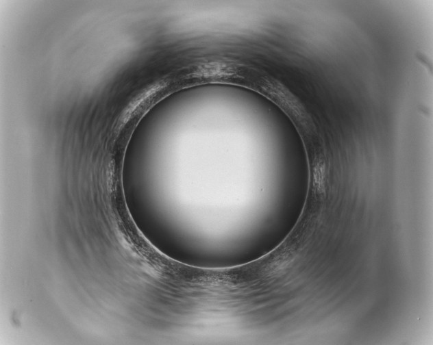 X0000100910724200807011243