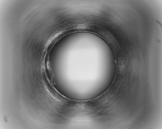X0000100910728200807011243
