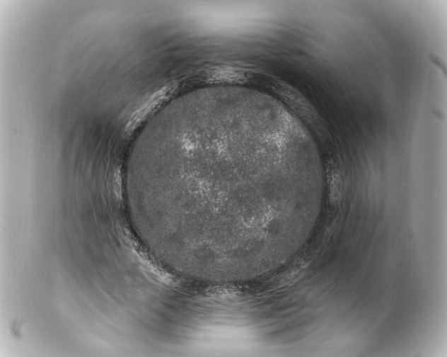 X0000100910729200807011243