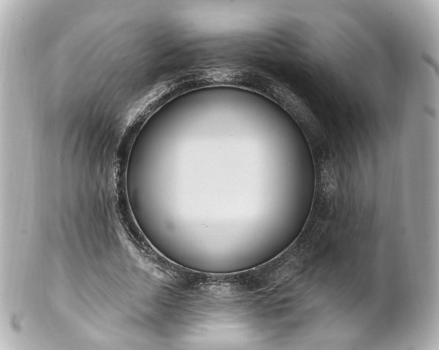 X0000100910730200807011243