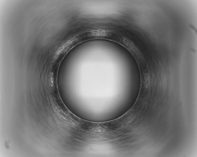 X0000100910731200807011243
