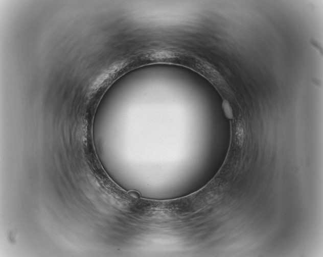 X0000100910732200807011243