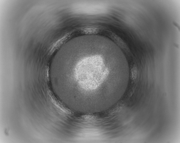 X0000100910733200807011243