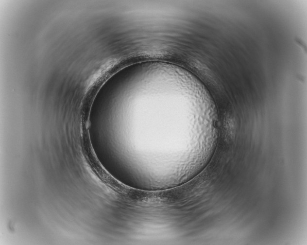 X0000100910734200807011243