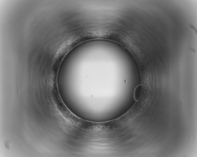 X0000100910736200807011243