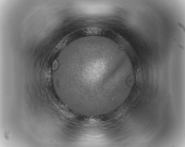 X0000100910737200807011243