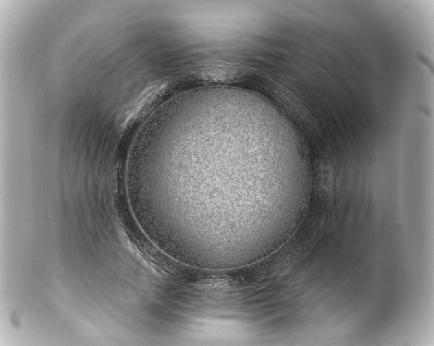X0000100910738200807011243