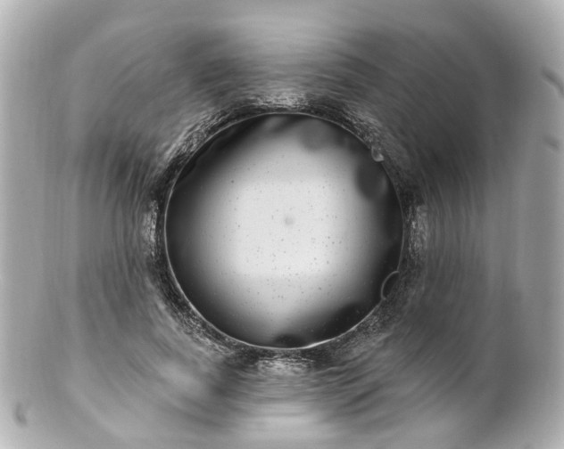 X0000100910739200807011243