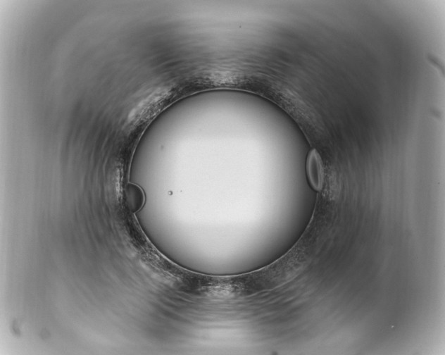 X0000100910740200807011243