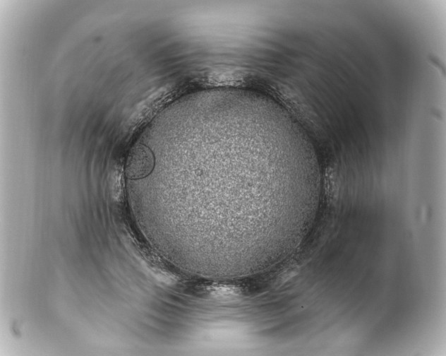 X0000100910741200807011243