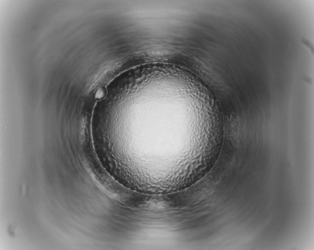 X0000100910742200807011243