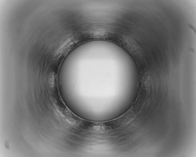 X0000100910744200807011243