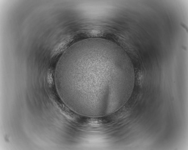 X0000100910746200807011243