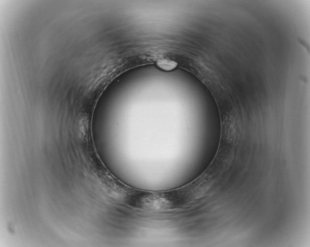 X0000100910747200807011243
