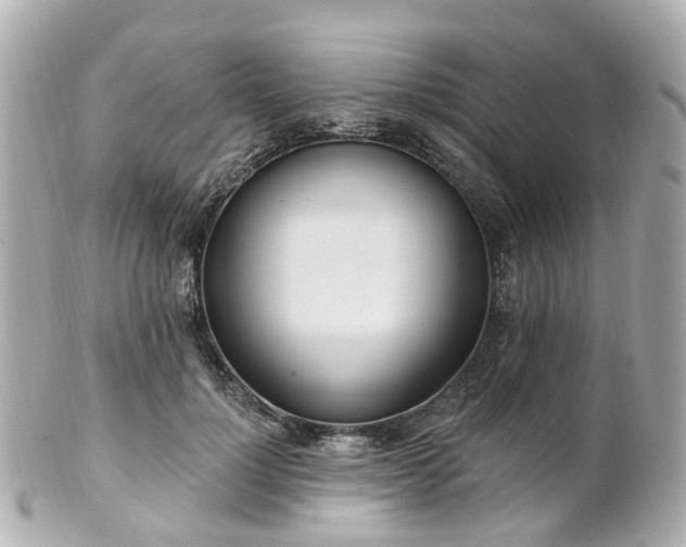 X0000100910748200807011243