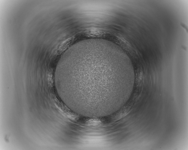 X0000100910749200807011243
