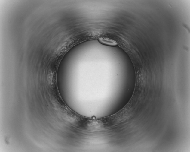X0000100910750200807011243