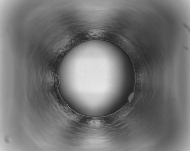 X0000100910751200807011243