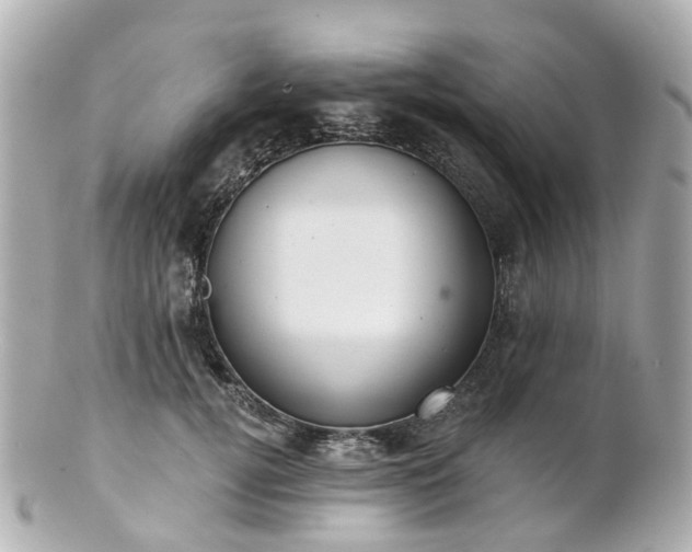 X0000100910752200807011243