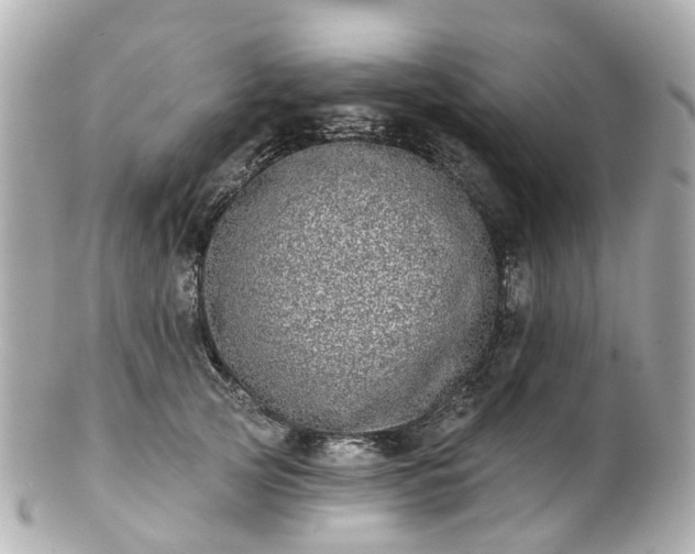 X0000100910753200807011243