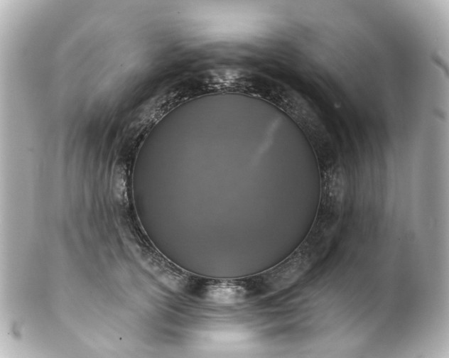X0000100910754200807011243