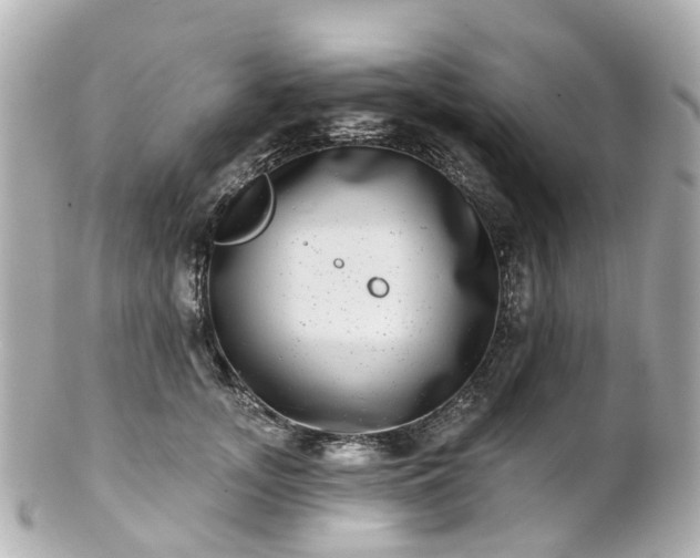 X0000100910755200807011243