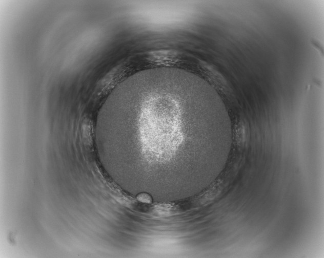 X0000100910757200807011243
