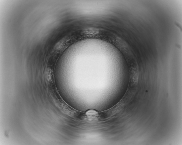X0000100910758200807011243