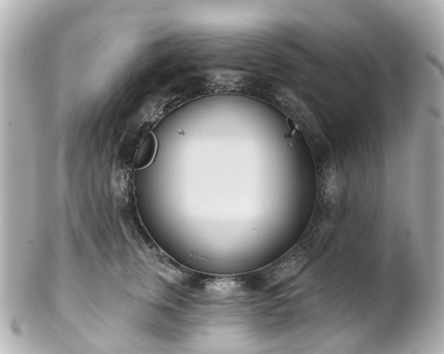 X0000100910759200807011243
