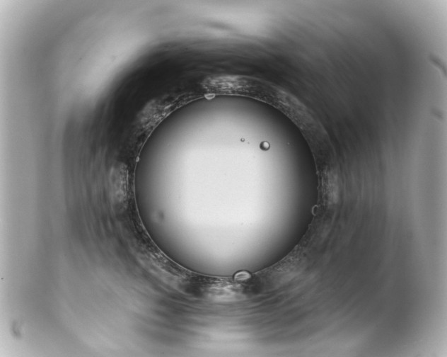 X0000100910760200807011243