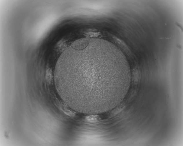 X0000100910761200807011243