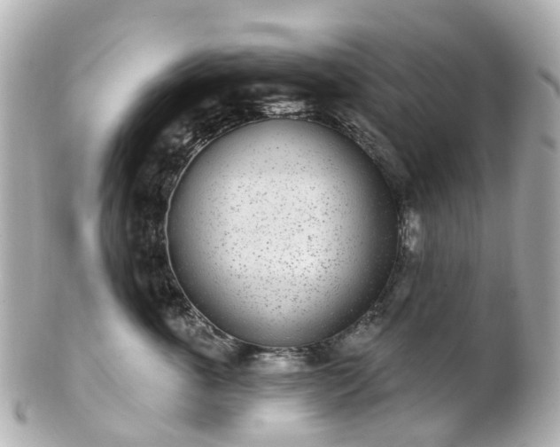 X0000100910763200807011243