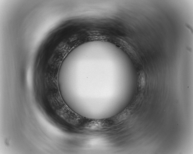 X0000100910764200807011243