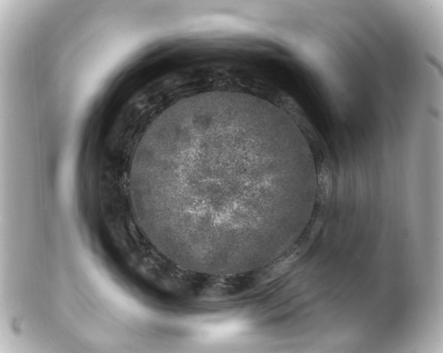 X0000100910765200807011243
