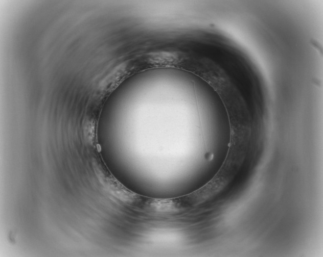 X0000100910767200807011243