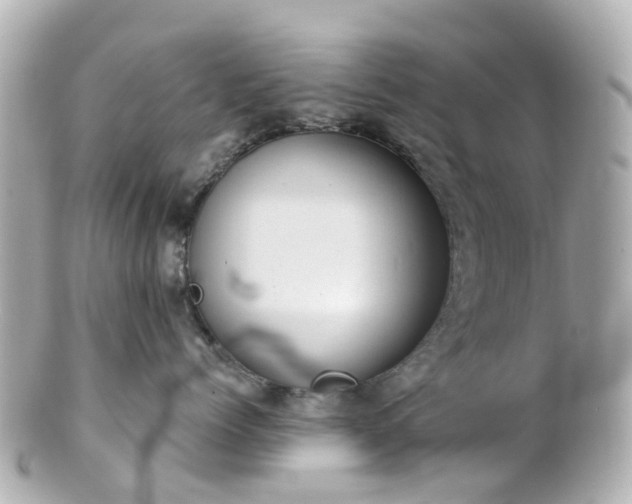 X0000100910768200807011243