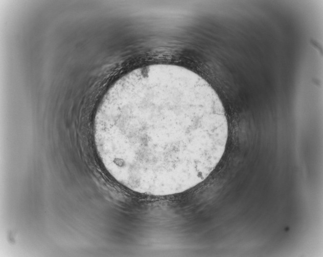 X0000100910769200807011243