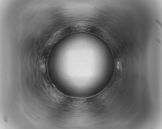 X0000100910771200807011243
