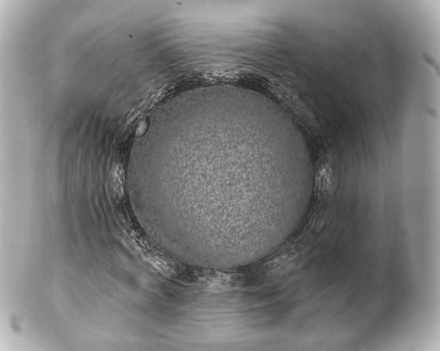 X0000100910772200807011243