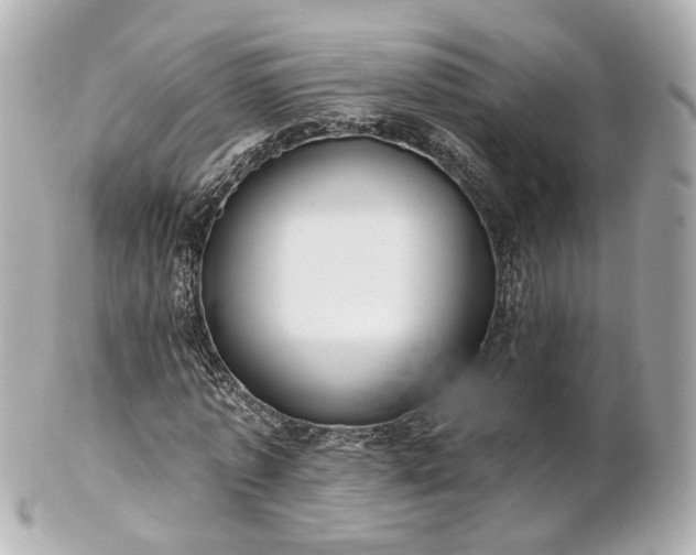 X0000100910773200807011243