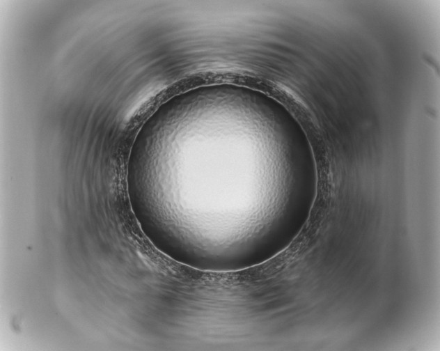 X0000100910775200807011243